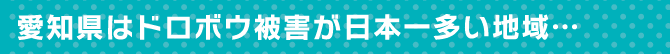 愛知県はドロボウ被害が日本一多い地域…
