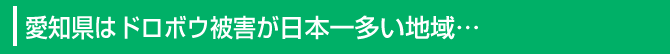 愛知県はドロボウ被害が日本一多い地域…