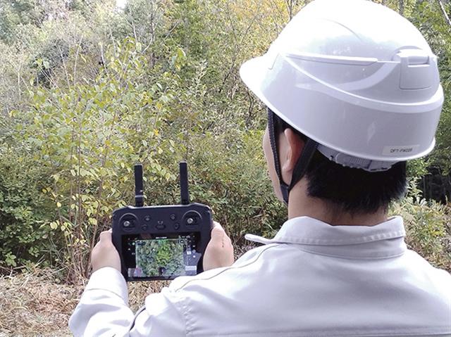 ドローンで森林を撮影した