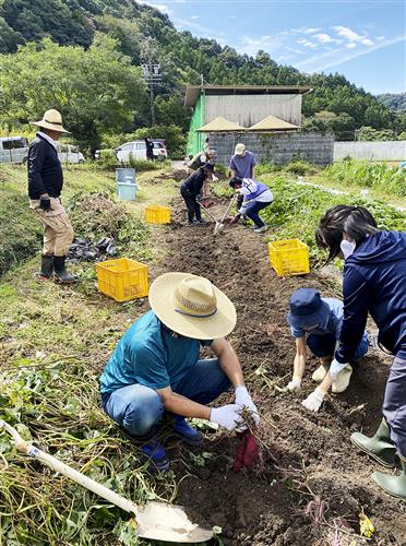 藤枝市は当事者らの交流会を定期的に開催。サツマイモを収穫する催しには久保亜紀子さんらも参加した
