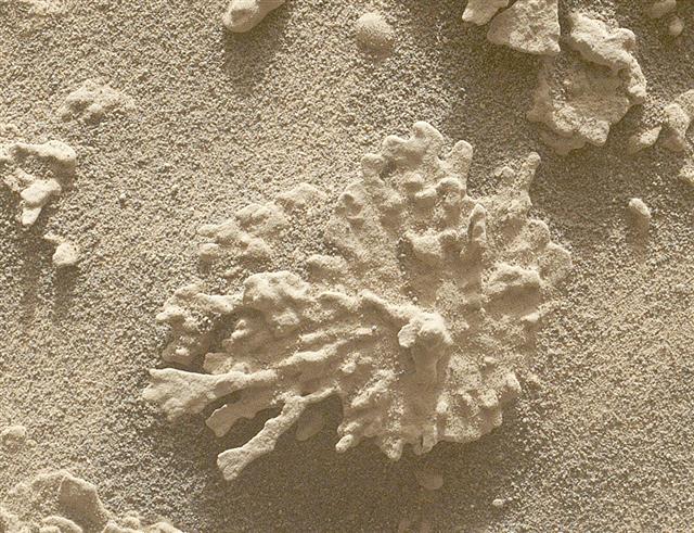 NASAの火星無人探査車「キュリオシティー」が撮影した(NASA/JPL―Caltech/MSSS提供)