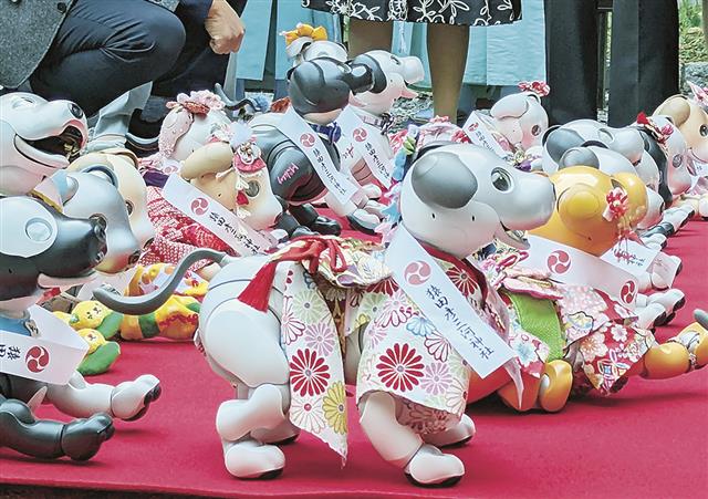 2礼2拍手1礼を覚えて七五三に臨んだアイボ