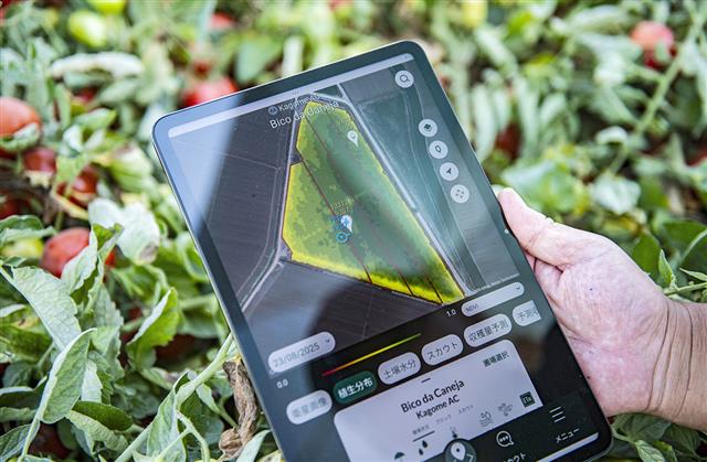 カゴメとNECが開発したトマト栽培支援アプリの画面。人工衛星から撮影した畑の画像も見ることができる=リスボン郊外(撮影・乾祐綺、共同)