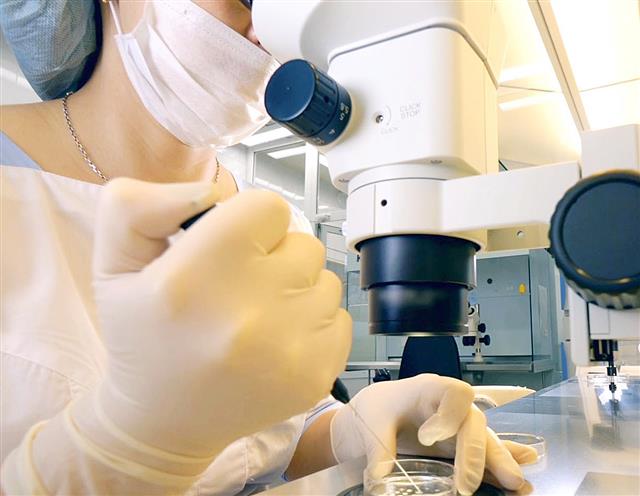 体外受精の作業のイメージ(写真は本文とは関係ありません)(日本産科婦人科学会提供)