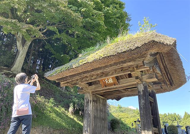芝棟の調査で訪れた寺の山門の写真を撮る法政大の山口隆子教授=岩手県矢巾町(山口教授提供)