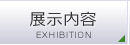 展示内容