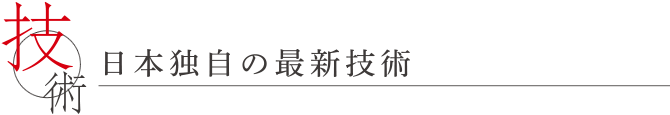 日本独自の最新技術