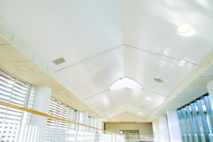 「吊る」から「張る」へ