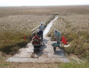 環境樹脂板「プラボーくん」シリーズ